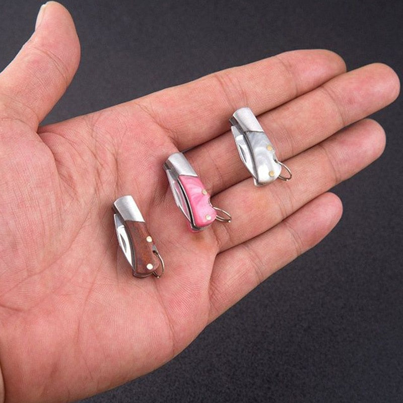 Mini Folding Knife Acrylic Sharp Edc Self-Defense Small Blade Cs Go Portable Keychain Hanging Outdoor Camping Unboxing Knife Hot - Charlie Dolly