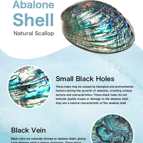 S925 Sterling Silver Hecate Wheel Pendant Necklace, Abalone Triple Moon Goddess Wiccan Amulet
