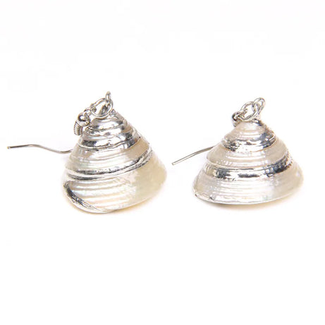 Natural Shell Scallop Drop Earrings Jewelry