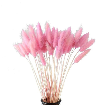 50 Pcs Pink Color Dried Pampas Flowers Rabbit Tail Grass Bouquets Lagurus Ovatus Natural Plants Home Wedding Decor Bunches - Charlie Dolly