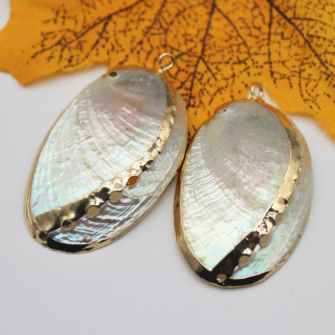 Natural Abalone Shell Pendant Beads Personality Ornaments For Jewelry Making DIY Necklace Earring Bracelet Handmade Accessories - Charlie Dolly